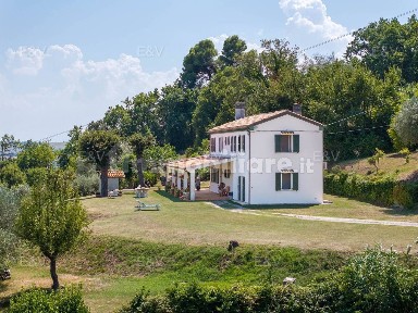 Pesaro, Santa Maria dell'Arzilla, Strada Ferriera