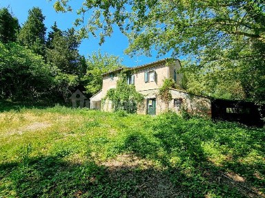 Casa colonica Strada della Torraccia, Torraccia - Tre Ponti, Pesaro