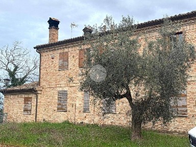 Casa colonica via della pieve 75, Cartoceto
