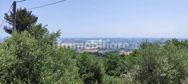 Rustico via Monte Matera 1, Colli al Metauro