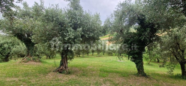 Casale via Valle, Cartoceto