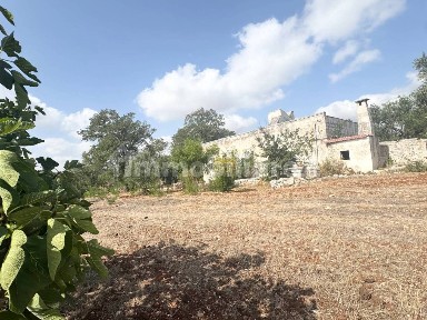 Monopoli, Contrada Zingarello