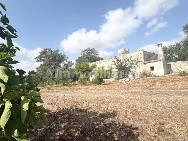Monopoli, Contrada Zingarello