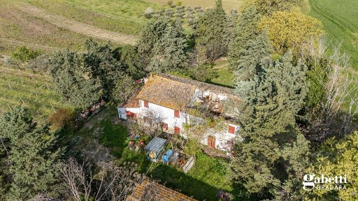 Rustico via Valle del Picchio, 12, Gradara