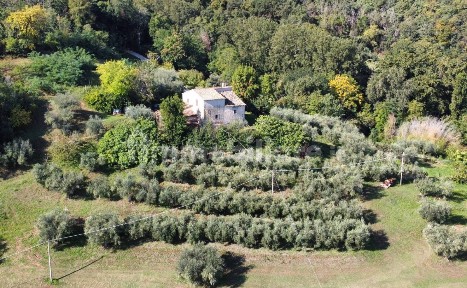Casa colonica via Adiacenze, Mombaroccio