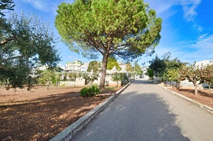 Putignano, Via Peppino Impastato