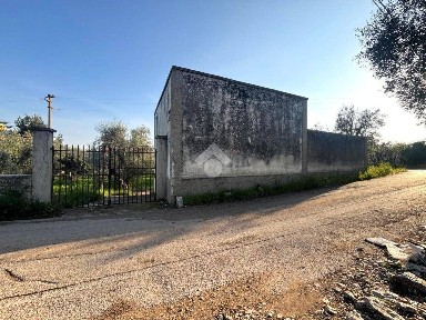 Molfetta, V. Donato de Bari