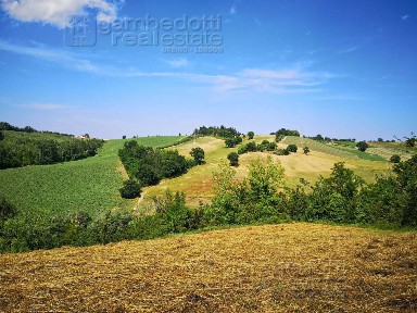 Rustico, da ristrutturare, 220 m², Terre Roveresche