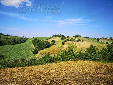 Rustico, da ristrutturare, 220 m², Terre Roveresche