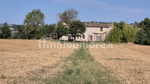 Casale via Barcaroli, Colli al Metauro