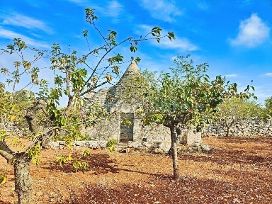Putignano, Strada Comunale Foggia Calderona