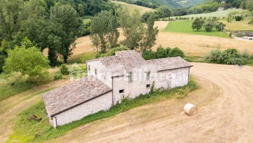 Casale frazione Cartoceto, Pergola