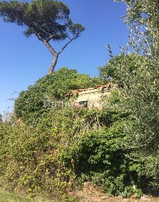 Casale, da ristrutturare, 150 m², Mondolfo