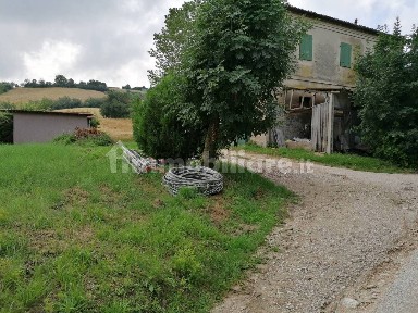 Rustico Villanova - Colli al Metauro, Colli al Metauro