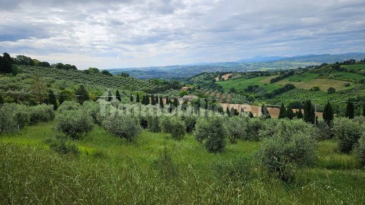 Casa colonica, da ristrutturare, 350 m², Cartoceto