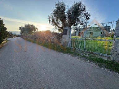 Monopoli, Contrada Conchia