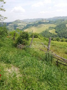 Urbino, Monte Olivo, 6