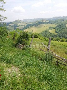 Cascina Monte Olivo, 6, Centro, Urbino