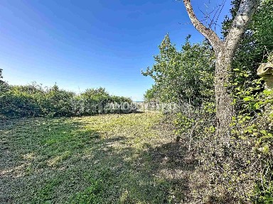 Casa colonica 394 m², San Costanzo