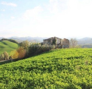 Rustico Selva Nera, Sant'Angelo in Vado
