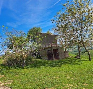 Rustico Strada Provinciale San Sisto, Belforte all'Isauro