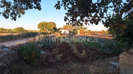 Putignano, Strada Comunale Pezza di Spacco
