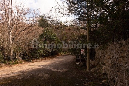 Locorotondo, Ianella Cupa