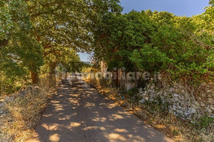 Monopoli, contrada paretano, snc