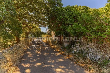Monopoli, contrada paretano, snc