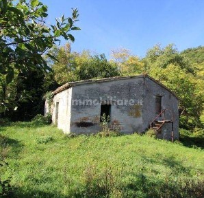 Rustico Pagino, Fermignano