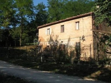 Urbino