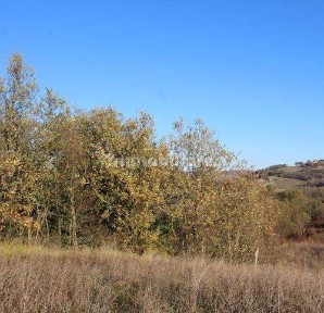 Rustico Strada Provinciale 43, Fermignano