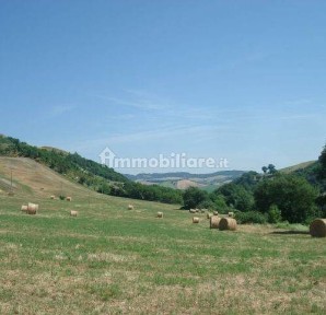 Rustico via Iv Novembre, Piandimeleto