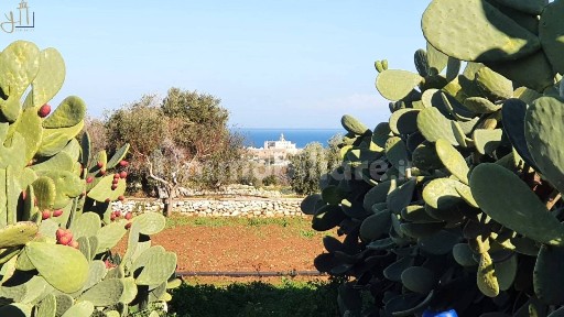 Polignano a Mare, Strada Comunale Ciaffallo