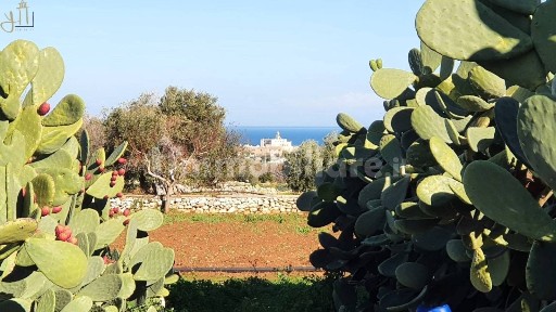 Rustico Strada Comunale Ciaffallo, Polignano a Mare