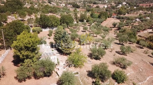 Alberobello, C.da Bosco Selva