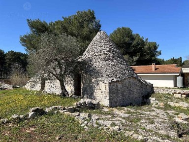 Trullo Contrada Coreggia, Alberobello