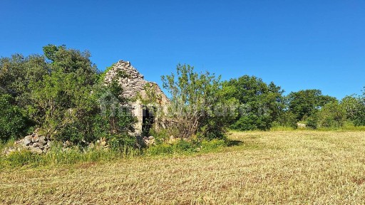 Putignano, Strada Comunale La Cupa 2