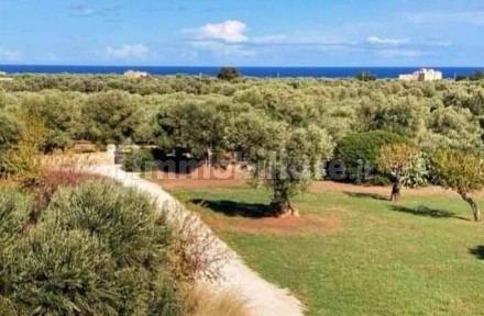 Trullo Contrada Macchia di Monte, Monopoli