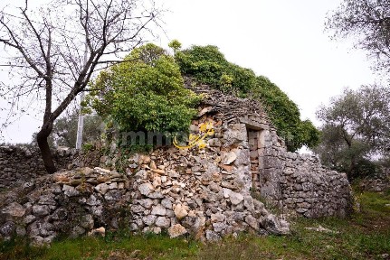 Baita Contrada Montedoro, Noci