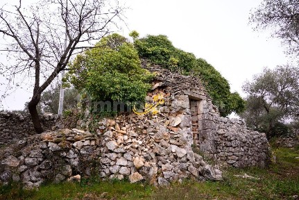 Baita Contrada Montedoro, Noci