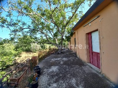 Piedimonte Etneo, Via Castagneto Nuovo