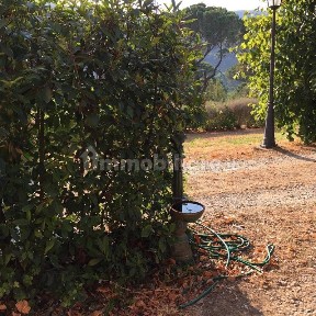 Loft, ottimo stato, piano terra, Montelupo Fiorentino