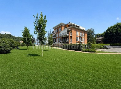 Arona