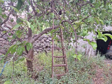 Terratetto unifamiliare via San Pancrazio, Suni