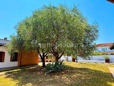 Villa unifamiliare via Muzzana 11, Via Lumignacco - Via Pozzuolo, Udine