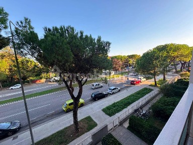 Udine, Via Martignacco, Viale Cadore, 17