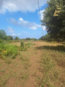Rustico Località campo sposrtivo snc, Drapia