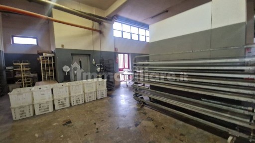 Magazzino - Deposito in Affitto
