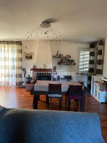 Arezzo, Olmo